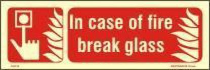 Εικόνα της In Case of Fire Break Glass 10x30