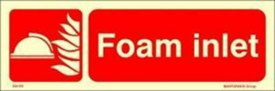 Picture of Foam Inlet 10x30