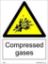 Picture of Compressed Gases 20x15