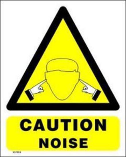 Εικόνα της Caution Noise 20x25