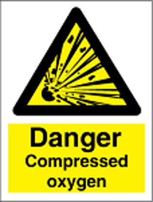 Εικόνα της Compressed Oxygen 25x20