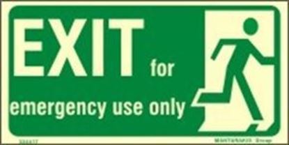 Picture of EXIT FOR EMERGENCY USE ONLY RIGHT 15X30