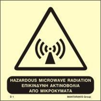 Εικόνα της Hazardous Microwave Radiation 15x15