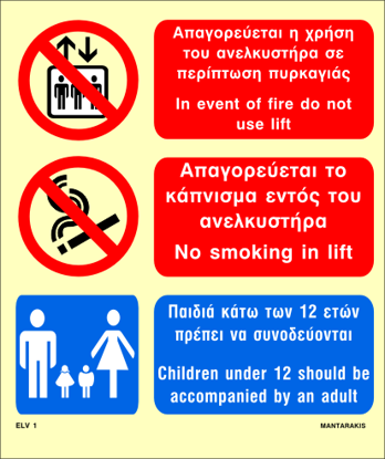 Εικόνα της Do not Use Lift - No Smoking 20x15