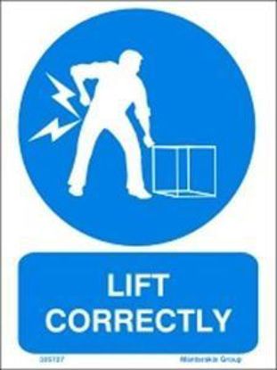 Εικόνα της Lift Correctly 20x25