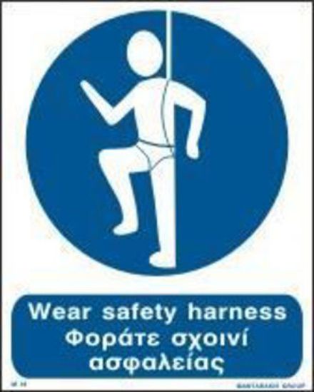 Εικόνα της Wear Safety Harness 25x20
