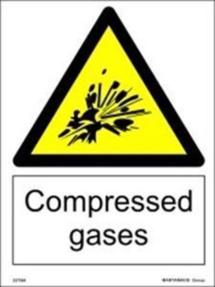 Picture of COMPRESSED GASES 20X15