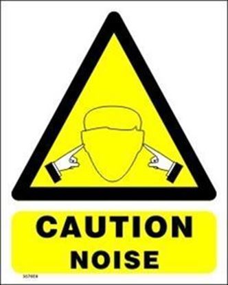 Picture of CAUTION NOISE 20X25