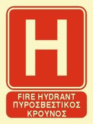 Εικόνα της Fire Hydrant 20x15
