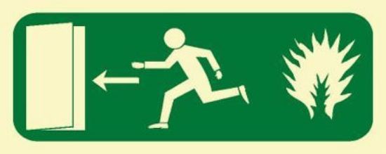 Picture of Fire Exit Left 12x30