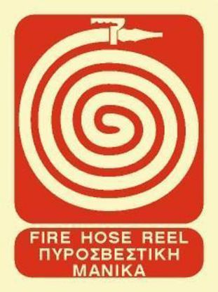 Picture of Fire Horse Reel 20x15