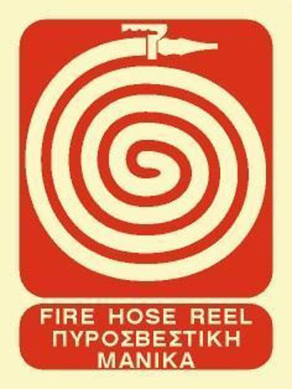 Picture of Fire Horse Reel 20x15