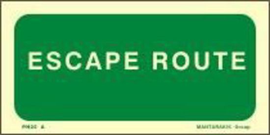 Picture of Escape Route 10x20