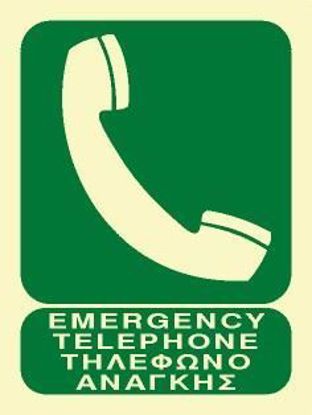 Picture of Energency Telephone 20x15