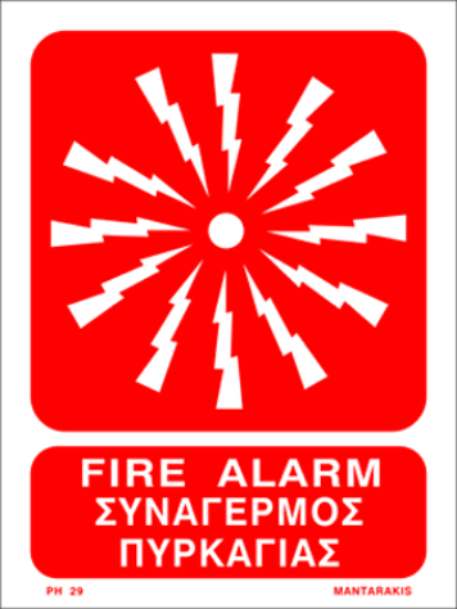 Picture of Fire Alarm 20x15