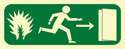 Εικόνα της Fire Exit Right 12x30
