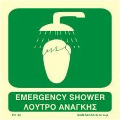 Picture of Emergency Shower 15x15