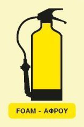 Εικόνα της Foam Extinguisher 15x10