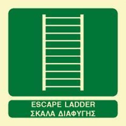 Εικόνα της Escape Ladder 15x15