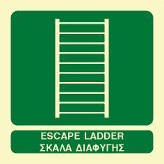 Picture of Escape Ladder 15x15