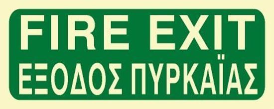 Picture of FIRE EXIT SIGN 12X30