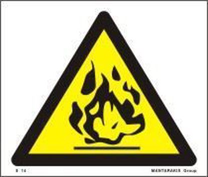 Εικόνα της Flammable 17x20