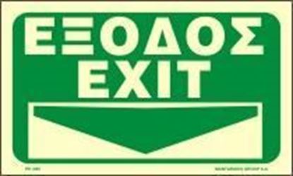 Picture of EXIT DOWN ARROW   25x25