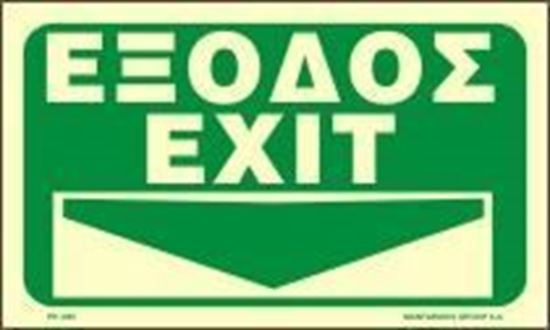 Picture of EXIT DOWN ARROW   25x25