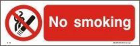 Picture of No Smoking 10x30