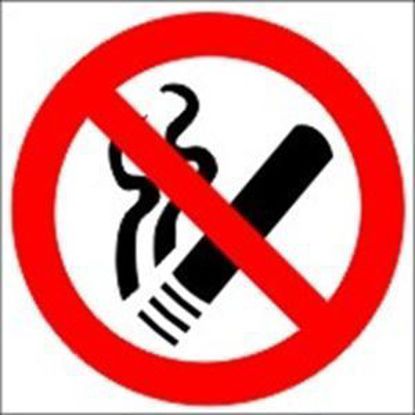 Picture of No Smoking 15x15