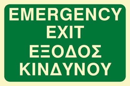 Picture of EMERGENCY EXIT SIGN 20X30
