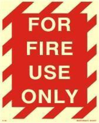 Picture of For Fire Use Only 20x25