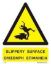 Εικόνα της Slippery Surface 20x25
