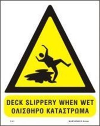 Εικόνα της Deck Slippery when Wet 20x25