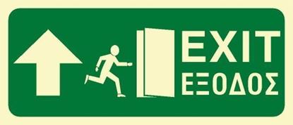 Picture of EXIT SIGN 15X35 