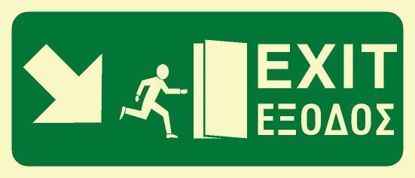 Picture of Exit (Arrow Diagonal Right Down) 15x35