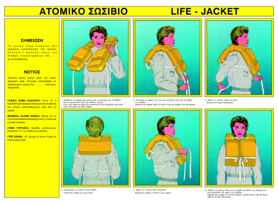 Εικόνα της Life Jacket 24x33