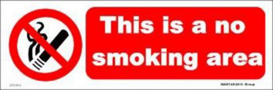 Picture of This is a no Smoking Area 10x30