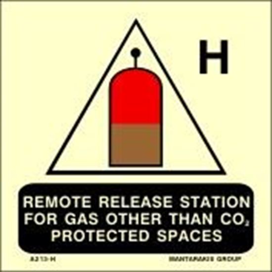 Picture of Remote release station for gas other than CO2 or N 15X15