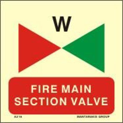 Picture of Fire Main Section Valve 15x15