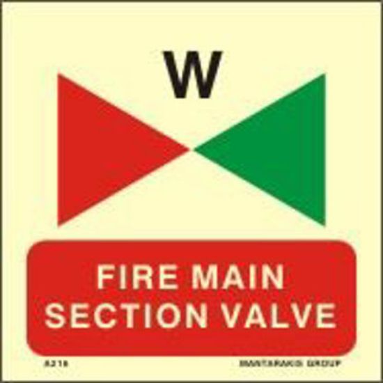 Picture of Fire Main Section Valve 15x15