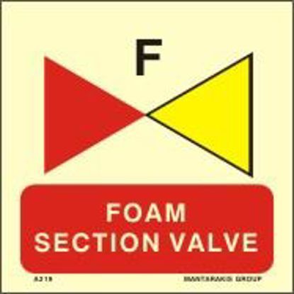 Picture of Foam Section Valve 15x15