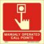 Picture of Manually Operated Call Points 15x15