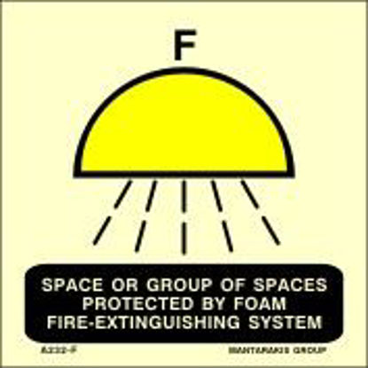 Εικόνα της Space or group of spaces protected by foam fire-extinguishing system  15x15