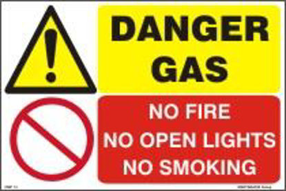 Picture of DANGER GAS 20x30