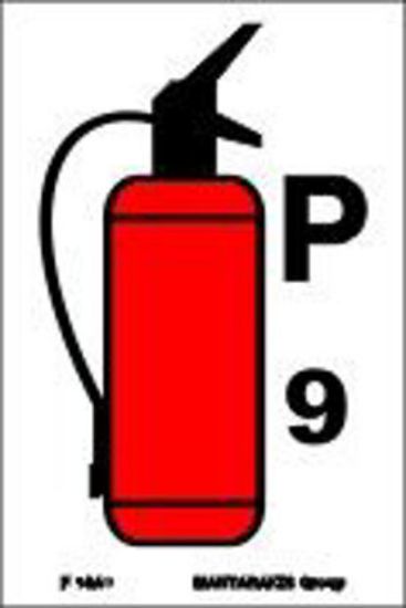 Εικόνα της Fire Extinguisher P9 15x10