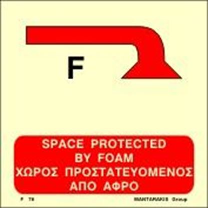 Εικόνα της SPACE PROTECTED BY FOAM SIGN 15x15