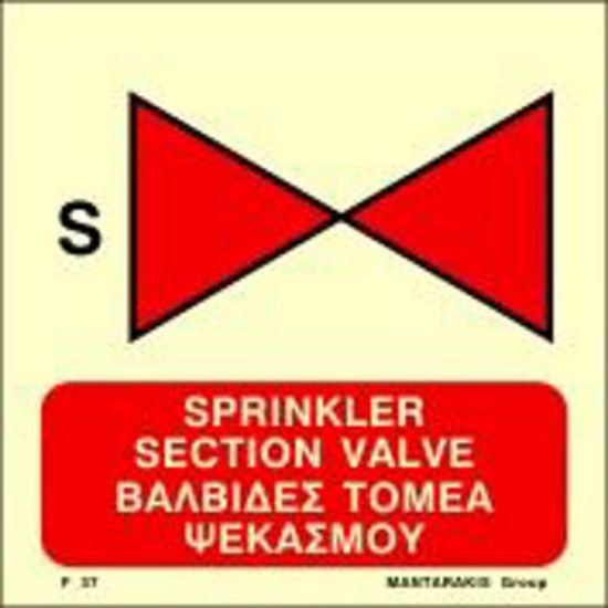 Εικόνα της Sprinkler Section Valve 15x15