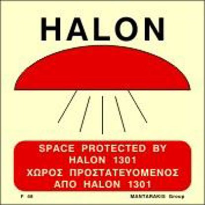 Εικόνα της Space Protected by HALON 1301 15x15