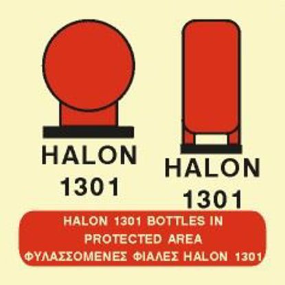 Εικόνα της HALON 1301 Bottles in Protected Area 15x15